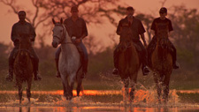 Botswana-Okavango Delta-Okavango Big Five Safari - 6 days